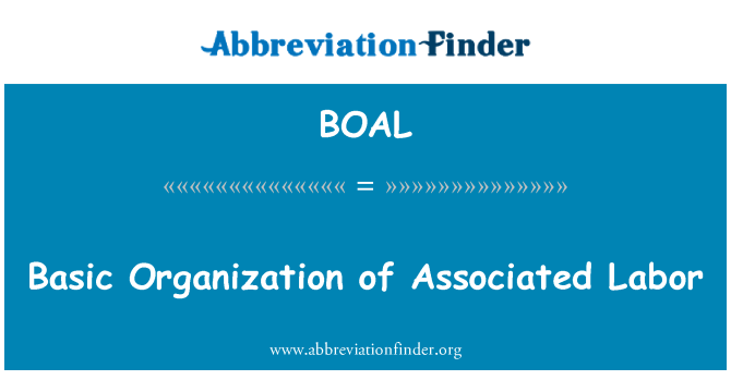 BOAL: Basic Organization of Associated Labor