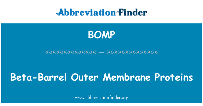 BOMP: Protéines de Membrane externe de bêta-Barrel