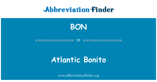 BON: Bonito Atlántico