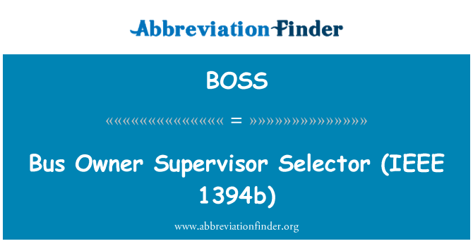 BOSS: 公車擁有者主管選擇器 (IEEE 1394b)