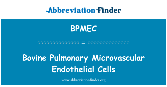 BPMEC: Bò phổi Microvascular tế bào nội mô