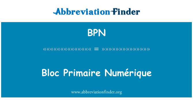 BPN: Bloc Primaire Numérique