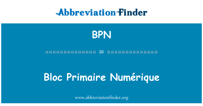 BPN: Blok Primaire Numérique