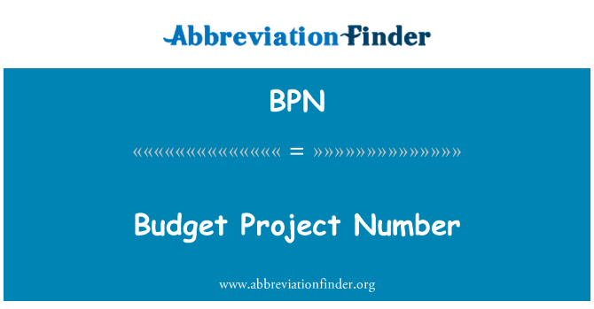 BPN: Budget Project Number