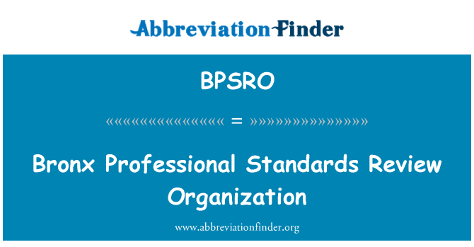 BPSRO: Bronx profesní standardy Recenze organizace