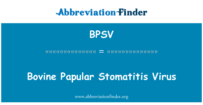 BPSV: Storfe Papular stomatitt Virus