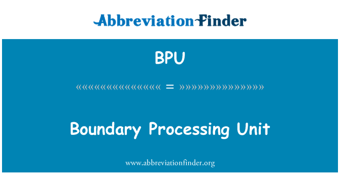 BPU: 境界処理装置