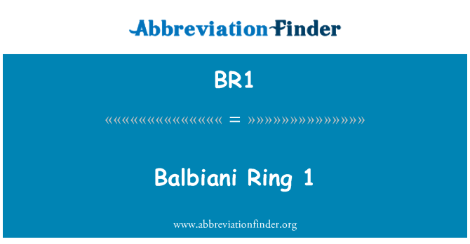 BR1: حلقه Balbiani 1