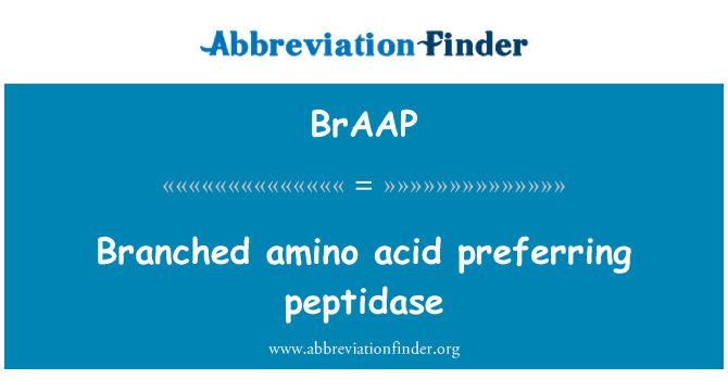 BrAAP: Asid amino ganghennog ffafrio peptidase