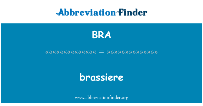 BRA Definition: brassiere