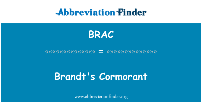 BRAC: Corvo-marinho de Brandt