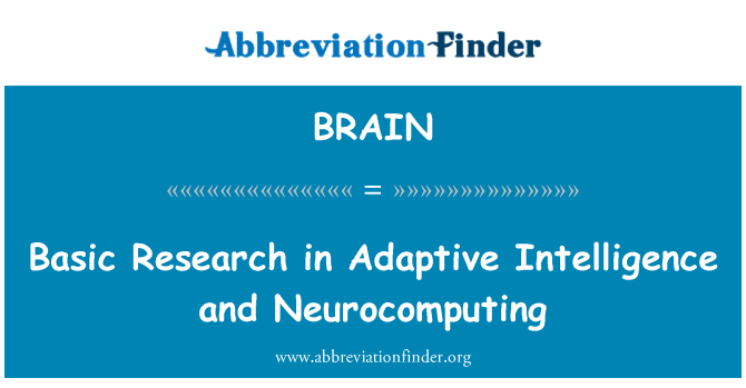 BRAIN: Basic Research in Adaptive Intelligence and Neurocomputing