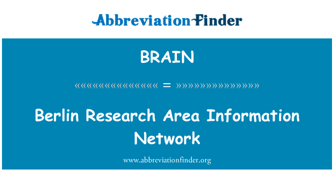 BRAIN: Berlin Research Area Information Network