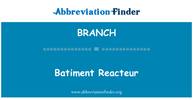 BRANCH: Batiment Reacteur