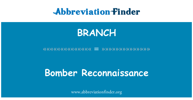 BRANCH: Bomber izvidovanje