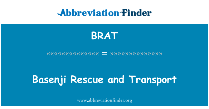 BRAT: Transporte e resgate de basenji