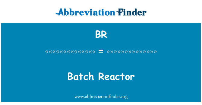 BR: Batch Reactor