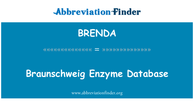 BRENDA: آنزیم Braunschweig پایگاه داده
