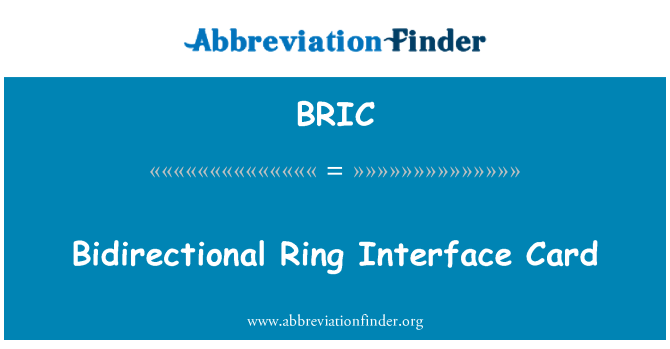 BRIC: 双向环接口卡