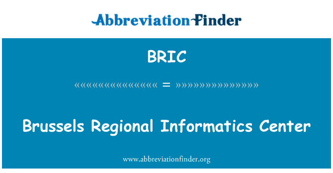 BRIC: Bruxelles regionale Informatik Center