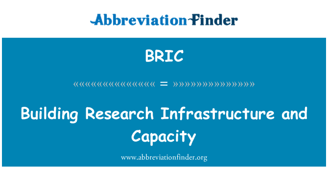 BRIC: عمارت تحقیق انفراسٹرکچر اور صلاحیت
