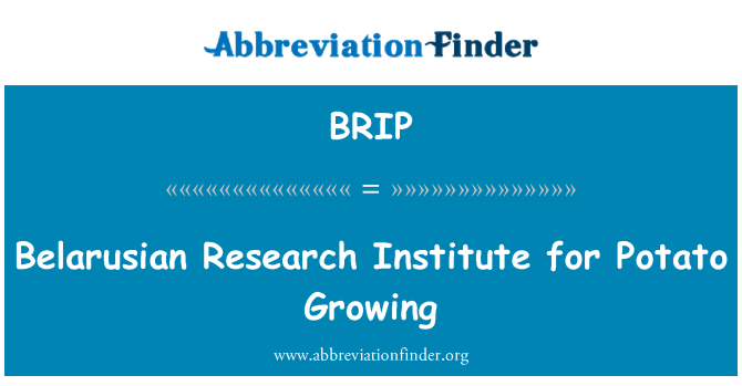 BRIP: 白俄羅斯文研究所馬鈴薯種植