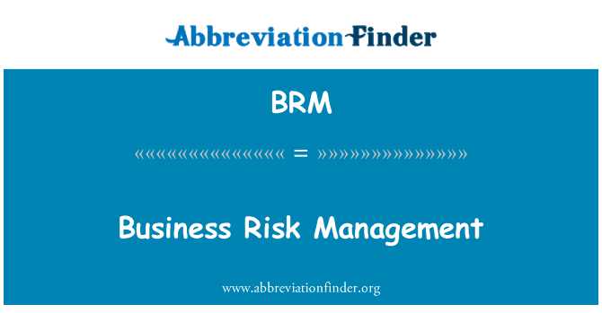 BRM: Jesyon Risk biznis