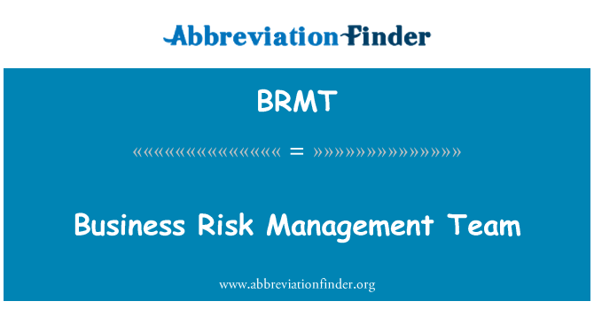 BRMT: Business Risk Management Team