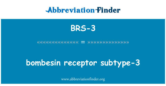 BRS-3: bombesin receptoru apakštips-3