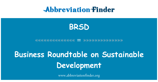 BRSD: Business Roundtable on Sustainable Development