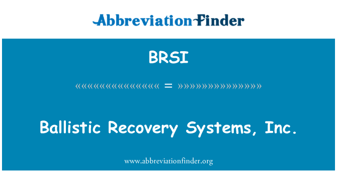 BRSI: Balistiques Restauration sistèm, Inc.