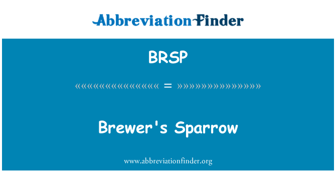 BRSP: Pivovarská Sparrow