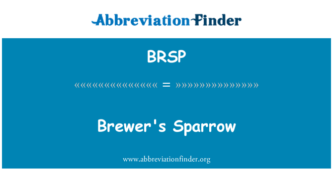 BRSP: Brewer's Sparrow