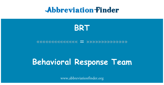 BRT: 행동 대응 팀
