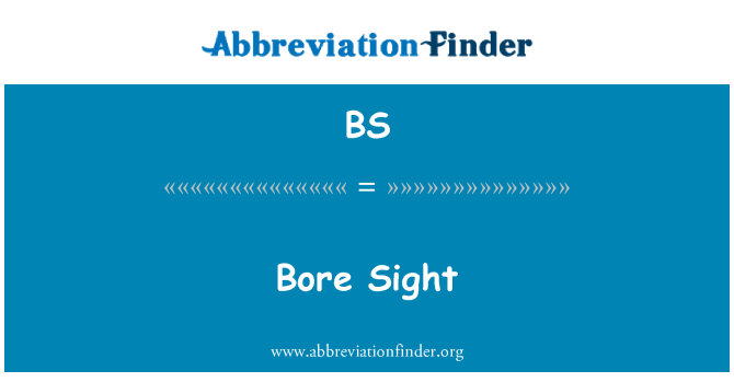 BS: Bore Sight