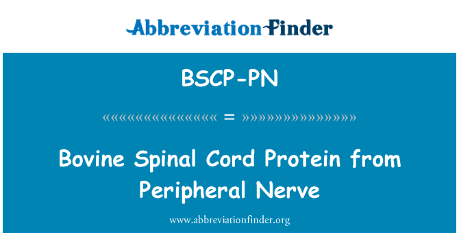 BSCP-PN: Míchy skotu Protein z periferních nervů