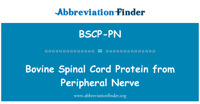 BSCP-PN: परिधीय तंत्रिका से गोजातीय मेरुरज्जु प्रोटीन