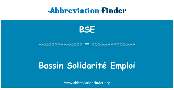 BSE: Bassin Solidarité Emploi