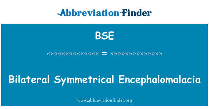 BSE: Bilaterale symmetrische Encephalomalacia