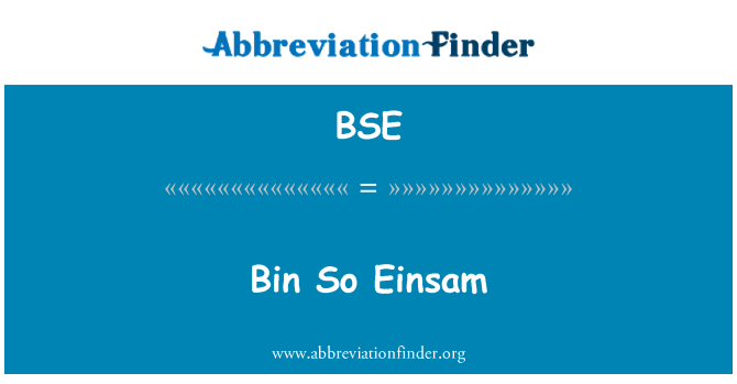 BSE: Zo Einsam bin