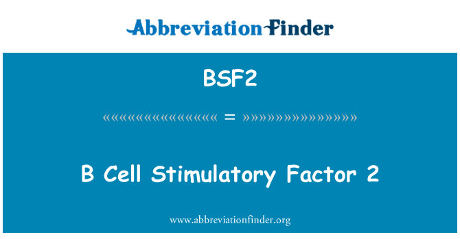 BSF2: B-solujen stimuloiva tekijä 2