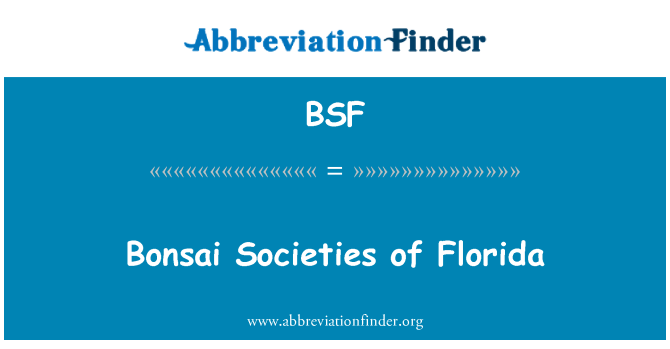 BSF: Chymdeithasau coed bonsai o Florida