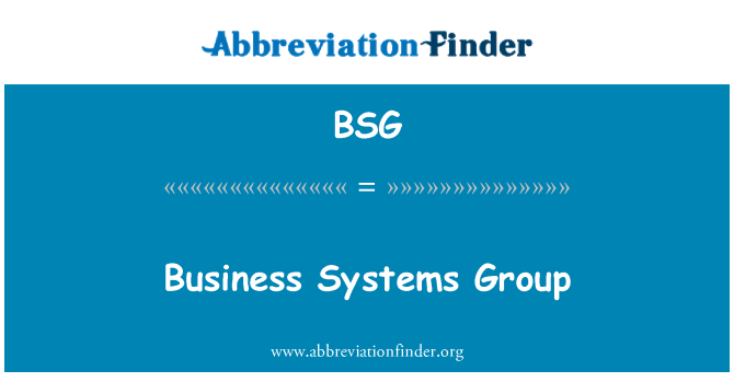 BSG: Business Systems Group