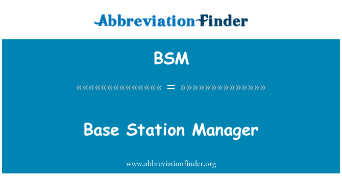 BSM: Base Station Manager