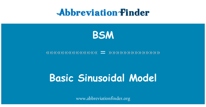 BSM: 基本的正弦模型