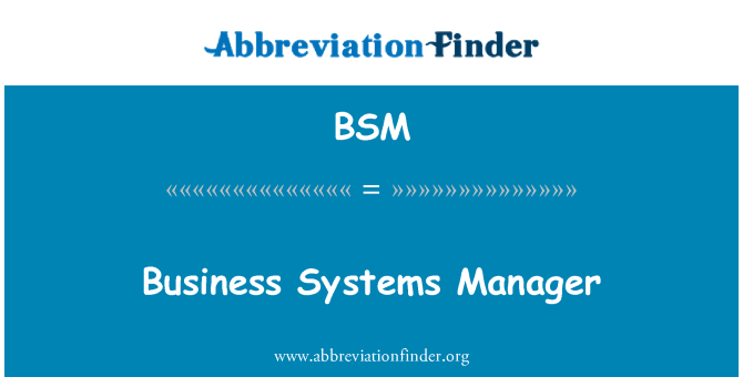 BSM: Менеджер бизнес-систем