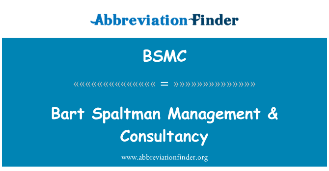 BSMC: Bart Spaltman Management & poradenství