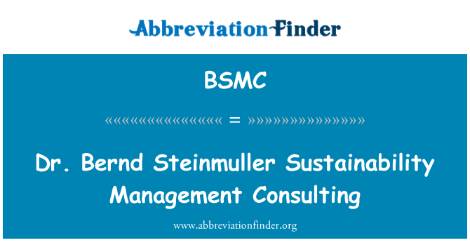 BSMC: Доктор Бернд Steinmuller стійкості управлінський консалтинг