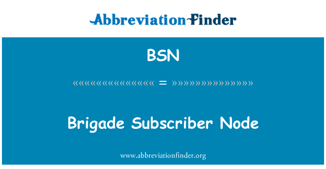 BSN: Brigade abonné nœud