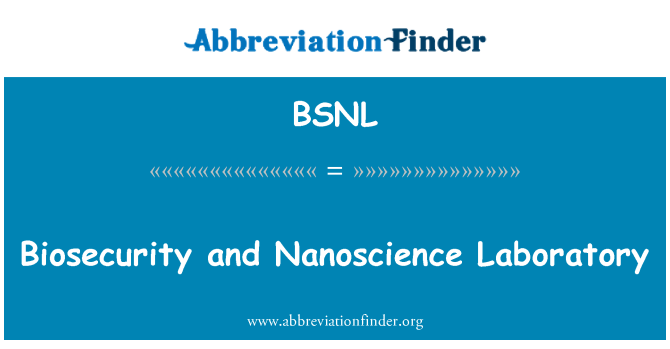 BSNL: Élémentaires Et Nanoscience laboratwa